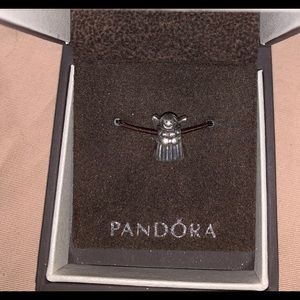 Authentic Pandora Charm